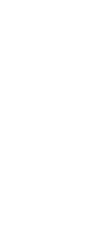 Dr Nieswand